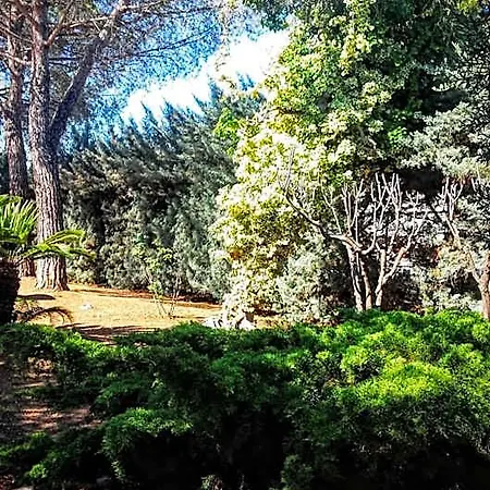 La Ambienti Sanificati Con Generatore Di Ozono 3* Bari